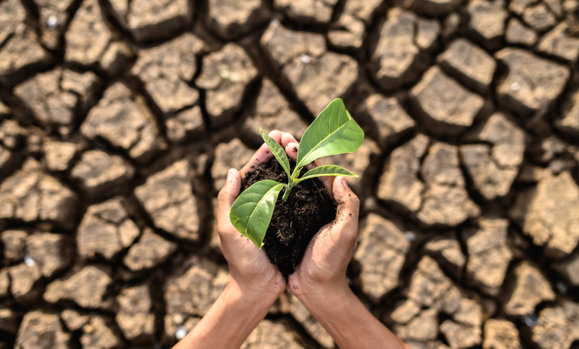ORGANIC FARMING: A SOLE KEY TO CLIMATE CHANGE!